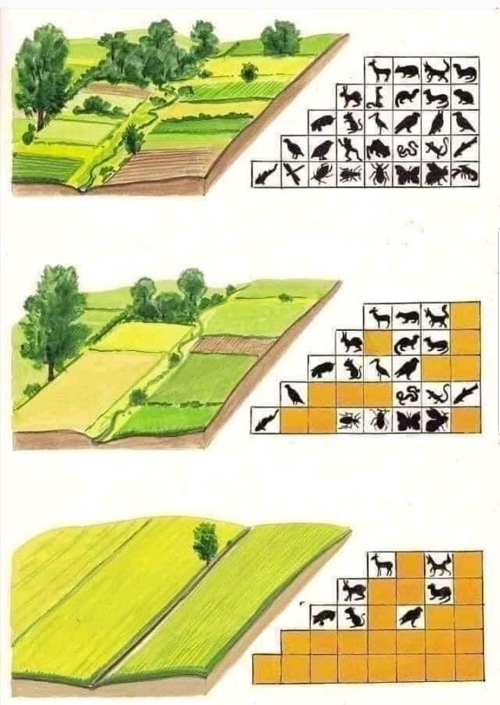 Impacts De L Agriculture Sur La Biodiversite Et Les Ecosystemes