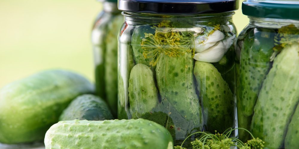 Le Cornichon : Origine, Bienfaits, Cultures… et idées de recettes !