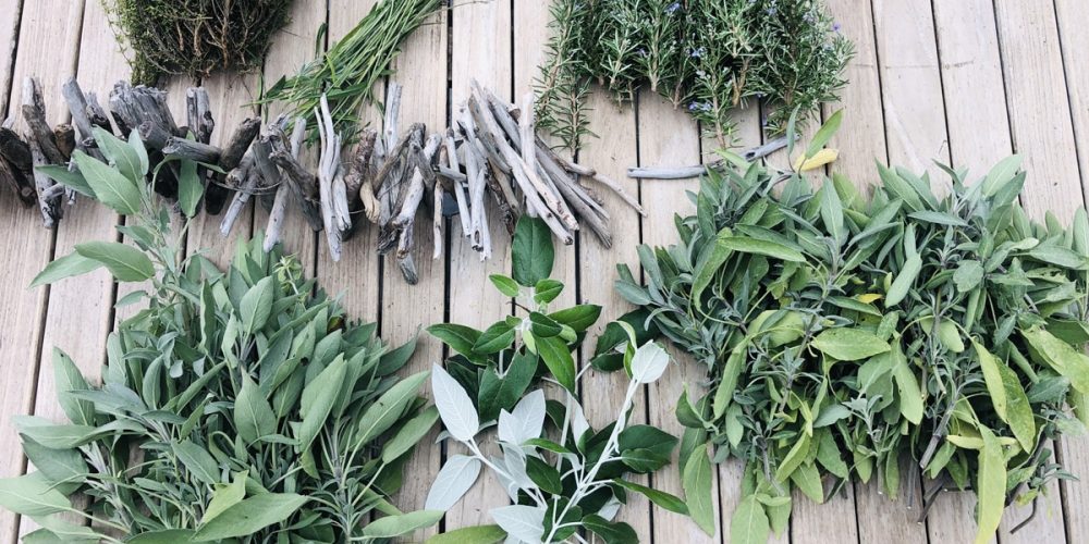 Comment sécher ses plantes aromatiques ? Le guide complet