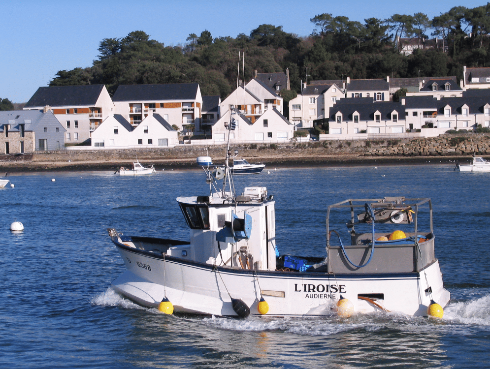 Bateau De Peche L Iroise Du Bateau A L Assiette Vente Directe