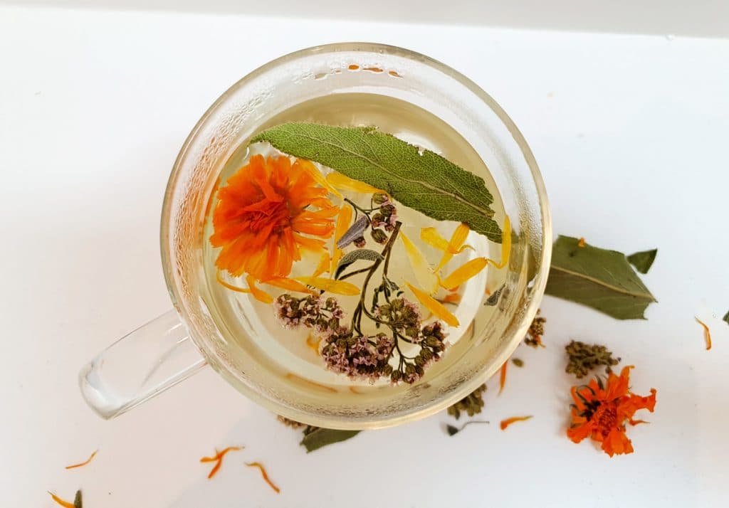 Comment sécher ses plantes aromatiques ? Le guide complet